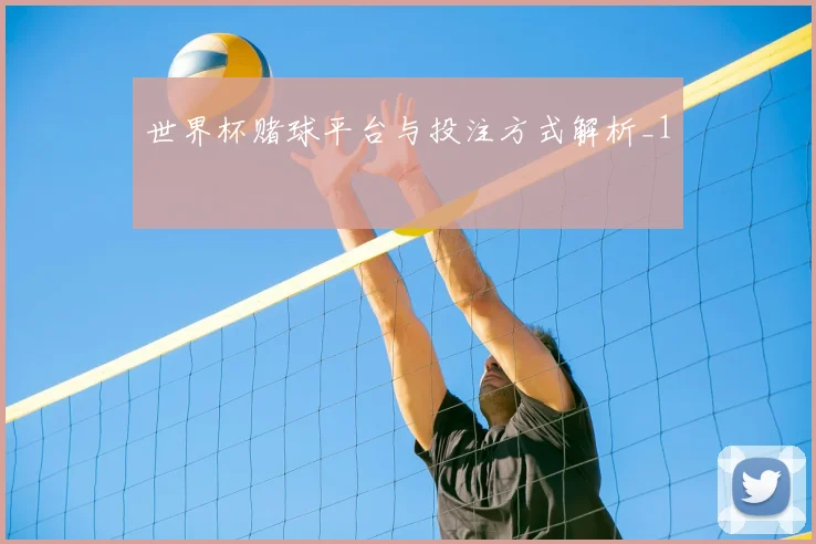 世界杯赌球平台与投注方式解析_1