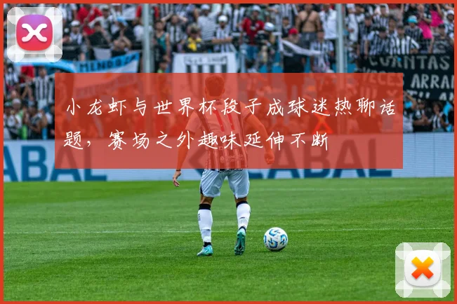 小龙虾与世界杯段子成球迷热聊话题,赛场之外趣味延伸不断