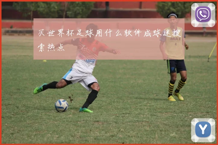 买世界杯足球用什么软件成球迷搜索热点