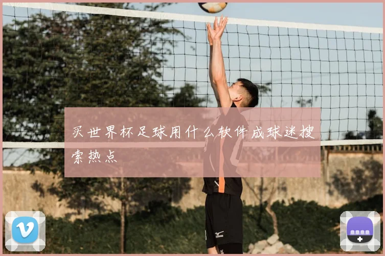 买世界杯足球用什么软件成球迷搜索热点