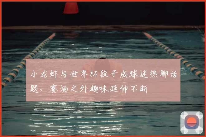 小龙虾与世界杯段子成球迷热聊话题,赛场之外趣味延伸不断