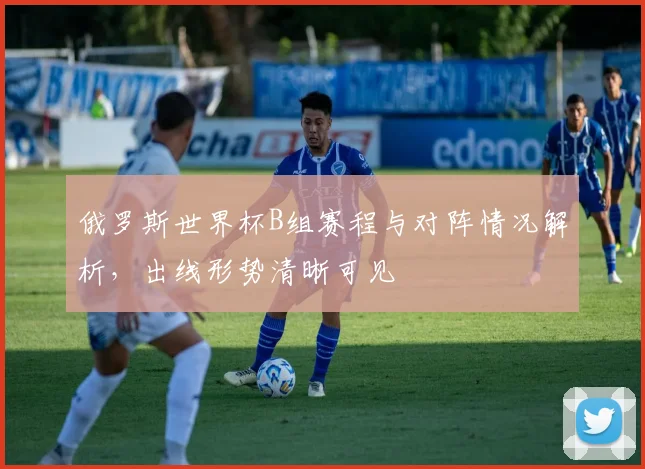俄罗斯世界杯B组赛程与对阵情况解析，出线形势清晰可见