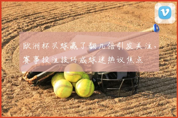 欧洲杯买球赢了翻几倍引发关注，赛事投注技巧成球迷热议焦点