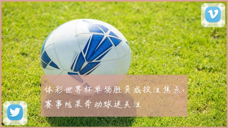 体彩世界杯单场胜负成投注焦点，赛事结果牵动球迷关注