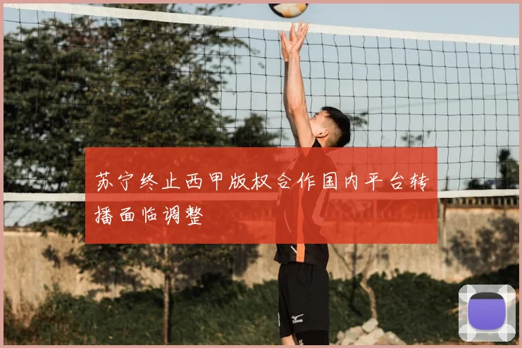 苏宁终止西甲版权合作国内平台转播面临调整