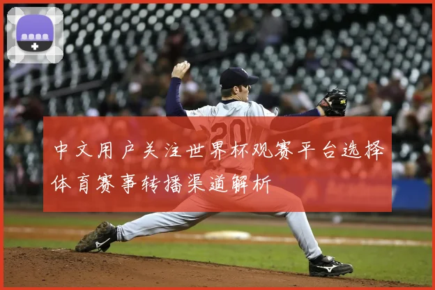 中文用户关注世界杯观赛平台选择体育赛事转播渠道解析