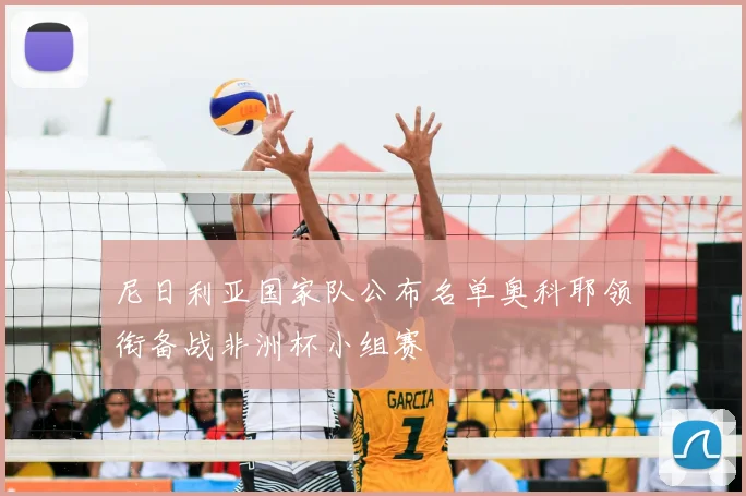 尼日利亚国家队公布名单奥科耶领衔备战非洲杯小组赛